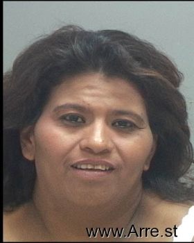 Maria De Jesus Sanchez-gaona Mugshot