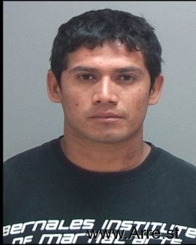 Miguel  Lopez-hernandez Mugshot