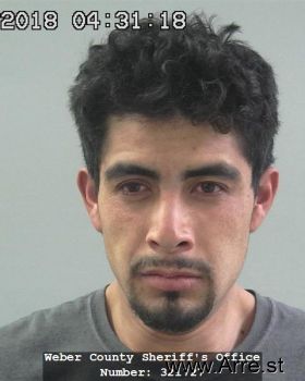 Mauricio  Hernandez-olmedo Mugshot