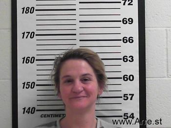 Melissa Renee Carroll Mugshot