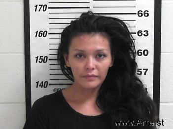 Melvena  Johnson Mugshot