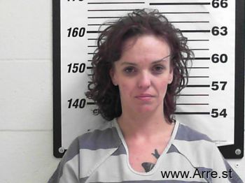 Michelle  Ritchie Mugshot