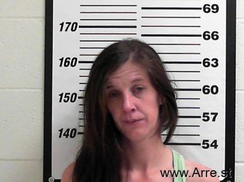 Natasha Ann Anderson Mugshot