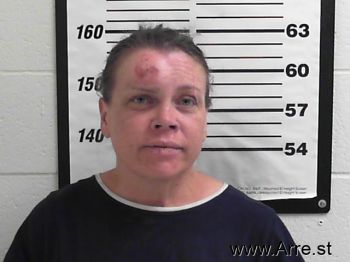 Pamela Austin Wall Mugshot