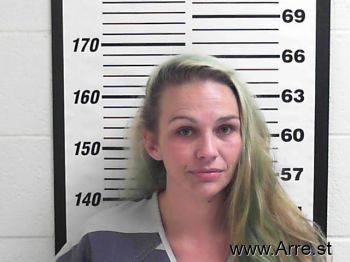 Robin Ann Graydon Mugshot