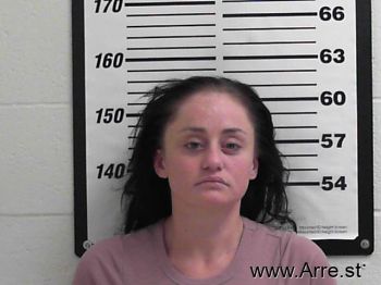 Sarah Faye Anderson Mugshot