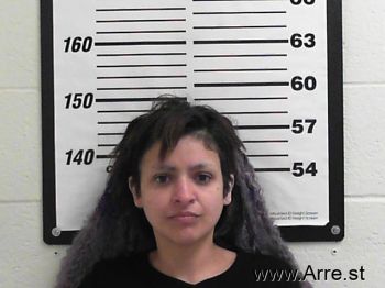 Shantel Lynn Vigil Mugshot