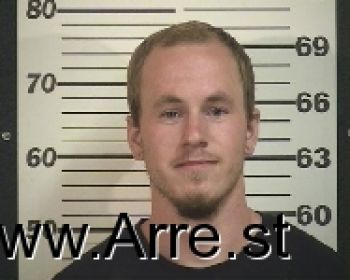 Shawn Michael David Burress Mugshot