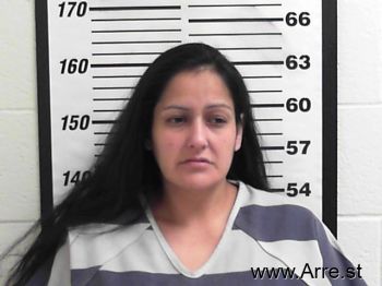 Vanessa Marie Zavala Mugshot