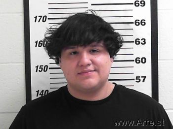 Vincent Tanner Camposano Mugshot