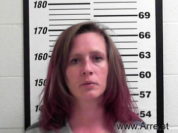 Virginia Jean Chandler Mugshot