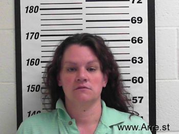 Virginia Lynn Long Mugshot