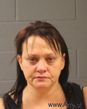 Wendi Lee Larsen Mugshot