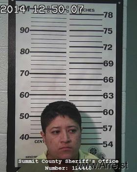 Yadira L Alejo-nava Mugshot