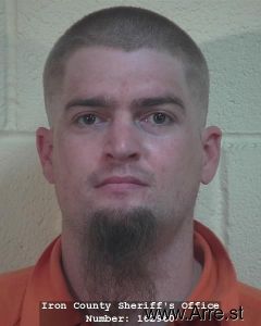 Brandon Nelson Arrest Mugshot