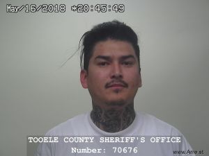 Jesus Alvarado Arrest Mugshot