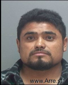 Luis Hernandez Arrest Mugshot