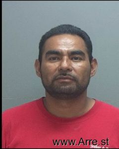 Luis Velasco Arrest Mugshot