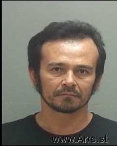 Ly Ngo Arrest Mugshot