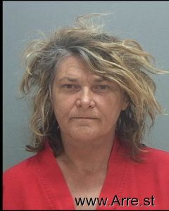 Lynn Paesch Arrest Mugshot