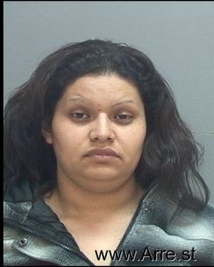 Maria Alvarado-avelin Arrest Mugshot