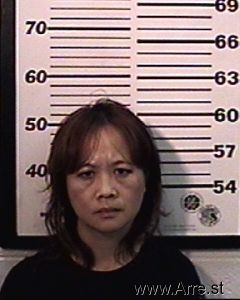 Megan Chan Arrest Mugshot