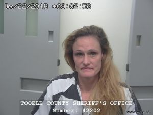 Misty Harper Arrest Mugshot