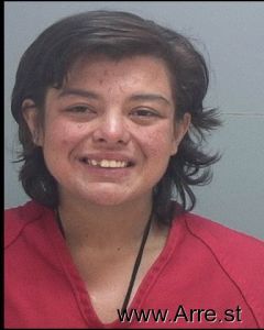 Sara Nielson Arrest Mugshot