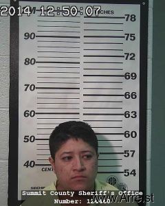 Yadira Alejo-nava Arrest Mugshot