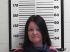 Sherie Robinson Arrest Mugshot Davis 2/19/2019