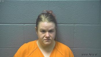 Amanda Lee Anderson Mugshot