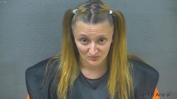 Amanda Brooke Mitchell Mugshot