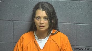 Amanda Kylene Reedy Mugshot