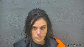 Amanda Brooke Willis Mugshot