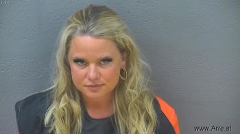 Amy Lynn Childress Mugshot