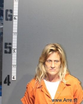 Amy Wells Daniels Mugshot