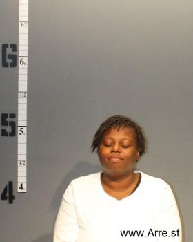 Ashley Nicole Sykes Mugshot