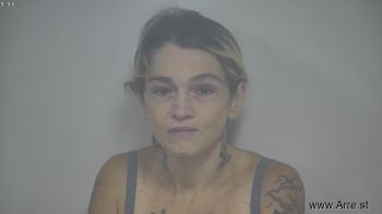 Ashley Danelle Wheeler Mugshot