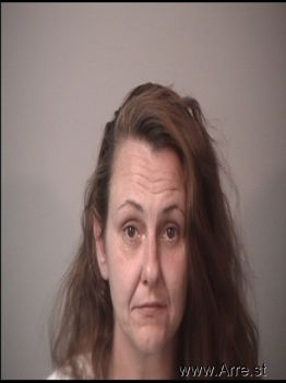 Amanda Patrice Field Mugshot