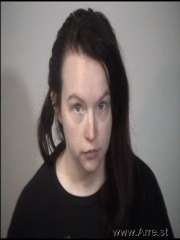 Ashley Elizabeth Kriesten Mugshot