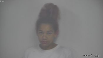 Cheyenne Nicole Camden Mugshot