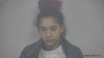 Cheyenne Nicole Camden Mugshot