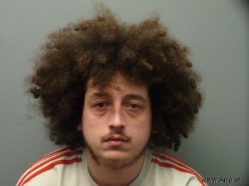 Daniel  Nelson Mugshot