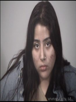 Danielle Victoria Ramirez Mugshot