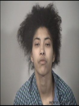 Danielle  Smith Mugshot