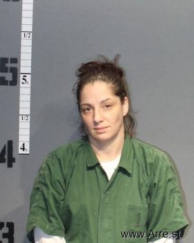 Erin Lynn Fitzgerald Mugshot