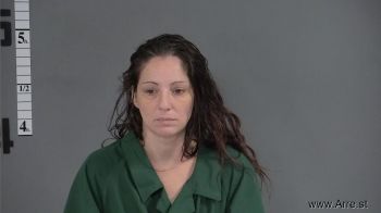 Erin Lynn Fitzgerald Mugshot