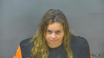 Heather Michele Johnson Mugshot