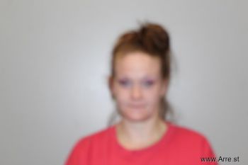 Heather Renee Phillips Mugshot