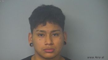 Jhonatan Alex Castro-contreras Mugshot